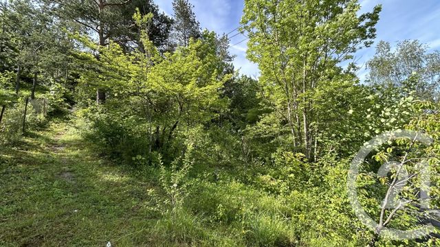 terrain à vendre - 739.0 m2 - GAP - 05 - PROVENCE-ALPES-COTE-D-AZUR - Century 21 Habitat