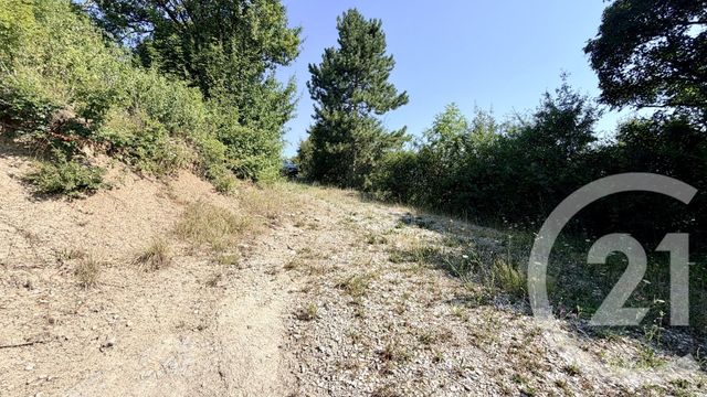 terrain à vendre - 1777.0 m2 - CHATEAUVIEUX - 05 - PROVENCE-ALPES-COTE-D-AZUR - Century 21 Habitat